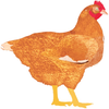My Poultry Manager - Farm app