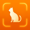 Cat Breed Identifier - AI Scan
