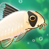 Pondlife — Relaxing Fish Game