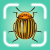 Insect Finder - Bug Identifier
