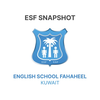 ESF Snapshot