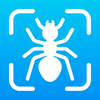 Bug Finder: Identifier