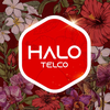 Halo Telco