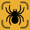 Spider Identifier: AI Scanner