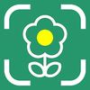 Flower Identifier: ID Scanner