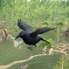 Birds Game Simulator 3D