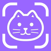 Cat Breed Identifier Pet Scan