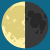 Moon Phases: Lunar Calendar