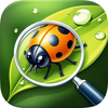 Insect Identifier Bug Scanner