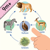 Learn Food Chain: Food Web Kid