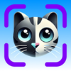 Cat Identifier AI