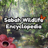 Sabah Wildlife Encyclopedia