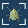 Bug Identifier - Insect °