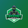 Fernandes Driver