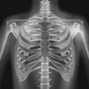 XRay - Sublux Anatomy Learning