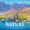 Nature Digital Board Game