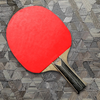 Ping Pong X: Realistic 2D Game