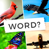 4 Pics - Word Guessing Game