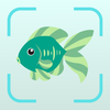 Fish Identifier : Fishverify