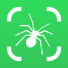 Spider Identifier: AI Camera