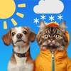 Weather Pet - Local Forecast
