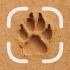 Animal Tracks Identifier