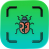 Bug Identifier ◦ Insect ID