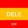 DELE Spanish Exam Prep