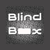 BlindBox_photo word masking