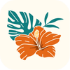 Flawless Hawaii Wedding App