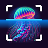 JellyScan - Identify Jellyfish