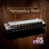 Harmonica Real Pro