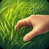 TOUCH GRASS: THE APP
