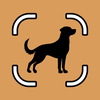 Dog Scanner Breed Id Dogbud