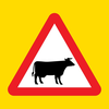 Cyprus road signs 2025
