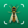 Insect ID - Bug Finder