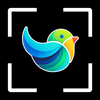 Bird Identifier: Photo AI