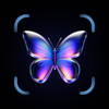 Butterfly Identifier AI Bug ID