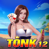 Tonk 12 - Gin Rummy Card Game