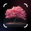 Tree Identifier - My Nature ID