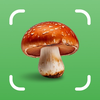 Mushroom ID - Fungi Identifier