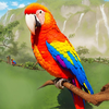 Parrot Bird Haven