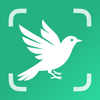 BirdScope: Bird Identifier