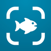Fish Identifier AI: Fish ID
