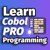 Learn Cobol Programming Pro