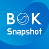 BOK Snapshot