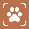 Dog Breed Identifier: Scan AI