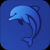 Mini Dolphins Swim School