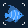 Identify Fish with AI