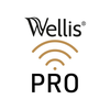 Wellis Spa Control Pro